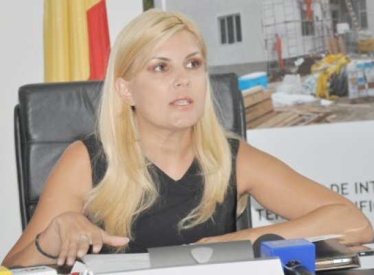 Elena Udrea: ministrul Dezvoltării: